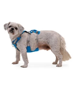 RUFFWEAR® Hundegeschirr Flagline Harness 2.0 18 RUFFWEAR® Hundegeschirr Flagline Harness 2.0 -Garten Werk Zone 6730675 6730683 6730691 6730709 6730717 WE MO 006 RWFlaglineHarnessBlueDusk