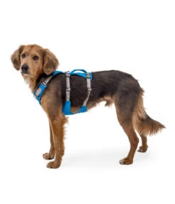 RUFFWEAR® Hundegeschirr Flagline Harness 2.0 19 RUFFWEAR® Hundegeschirr Flagline Harness 2.0 -Garten Werk Zone 6730675 6730683 6730691 6730709 6730717 WE MO 007 RWFlaglineHarnessBlueDusk