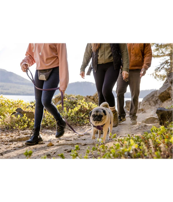 RUFFWEAR® Hundeleine Front Range™, 1.5 M 4 RUFFWEAR® Hundeleine Front Range™, 1.5 M – Bild 2