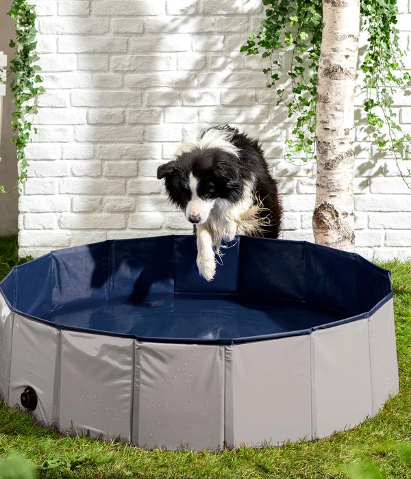 Dehner Lieblinge Hundepool Water Fun, Ca. Ø120/H30 Cm 5 Dehner Lieblinge Hundepool Water Fun, Ca. Ø120/H30 Cm – Bild 3