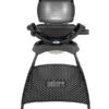 Weber Gasgrill Q 1000, 43 X 32 Cm 2 Weber Gasgrill Q 1000, 43 X 32 Cm -Garten Werk Zone 6778104 WE FS 001 WeberQ1000StandBlack