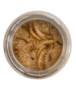 Dehner Natura Erdnussbutter Im Glas, Mehlwürmer, 8 X 340 G 9 Dehner Natura Erdnussbutter Im Glas, Mehlwürmer, 8 X 340 G -Garten Werk Zone 6846935 WE DE 001 NaturaWildvogelErdnussbutterGlas340g