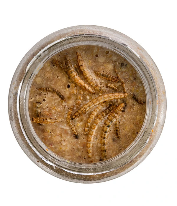 Dehner Natura Erdnussbutter Im Glas, Mehlwürmer, 8 X 340 G 6 Dehner Natura Erdnussbutter Im Glas, Mehlwürmer, 8 X 340 G – Bild 4