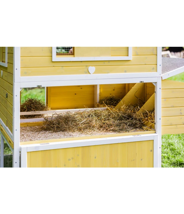 Dehner Hühnerstall Happy Farm Miami, Gelb, Ca. B337/H158,5/T145,8 Cm 12 Dehner Hühnerstall Happy Farm Miami, Gelb, Ca. B337/H158,5/T145,8 Cm – Bild 10
