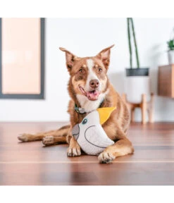 Red Dingo Hundespielzeug DURABLES Toys Kakadu 9 Red Dingo Hundespielzeug DURABLES Toys Kakadu -Garten Werk Zone 6912430 WE MO 002 RedDingoSpzKakadu