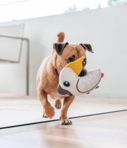 Red Dingo Hundespielzeug DURABLES Toys Kakadu 10 Red Dingo Hundespielzeug DURABLES Toys Kakadu -Garten Werk Zone 6912430 WE MO 004 RedDingoSpzKakadu