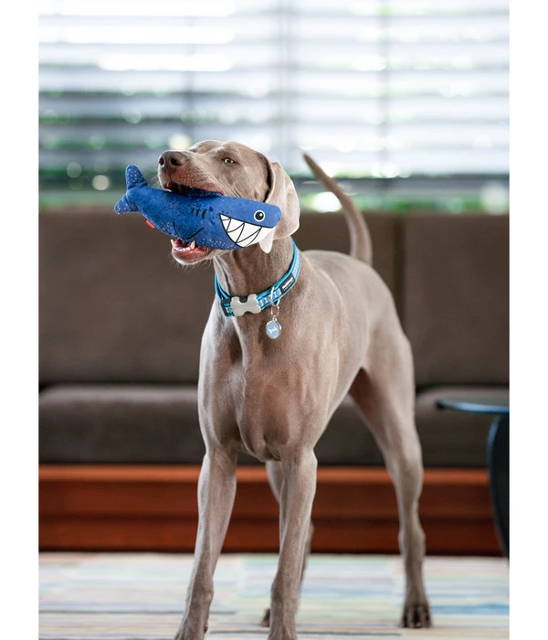 Red Dingo Hundespielzeug DURABLES Toys Hai 4 Red Dingo Hundespielzeug DURABLES Toys Hai – Bild 2