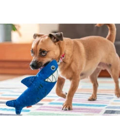 Red Dingo Hundespielzeug DURABLES Toys Hai 10 Red Dingo Hundespielzeug DURABLES Toys Hai -Garten Werk Zone 6912463 WE MO 003 RedDingoSpzHai