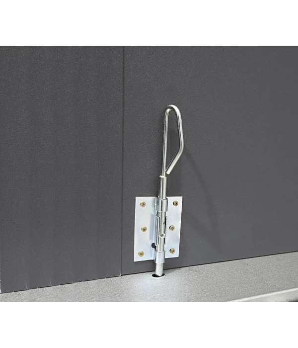 Wolff Finnhaus Metallgerätehaus Eleganto 3024, Inkl. Seitendach Links, Ca. B486/H227/T259 Cm 8 Wolff Finnhaus Metallgerätehaus Eleganto 3024, Inkl. Seitendach Links, Ca. B486/H227/T259 Cm – Bild 6