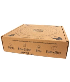 Wildlife Vogeltränke Shenstone, Hellgrün, Ca. Ø44,5/H12 Cm 16 Wildlife Vogeltränke Shenstone, Hellgrün, Ca. Ø44,5/H12 Cm -Garten Werk Zone 6952410 WE DE 003 WildlifeShenstoneVogeltraenke