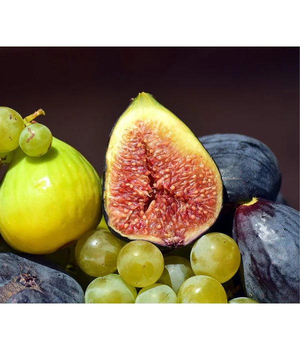 Bornholmfeige 3 Bornholmfeige