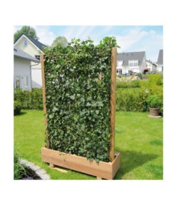 Hecke Am Laufenden Meter® 'Woerneri' - Efeu, Ca. 100 Cm 11 Hecke Am Laufenden Meter® 'Woerneri' - Efeu, Ca. 100 Cm -Garten Werk Zone 7208309 BildM 004 HedereHelixWoerneriHeckeAmLaufendenMeterHelix