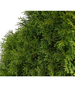 7 Meter Lebensbaum 'Smaragd', 14 X Ca. 125-150 Cm 11 7 Meter Lebensbaum 'Smaragd', 14 X Ca. 125-150 Cm -Garten Werk Zone 7513534 WE DE 001 ThujaLebensbaumOccidentalisSmaragd20LDehnerExpressHerzig