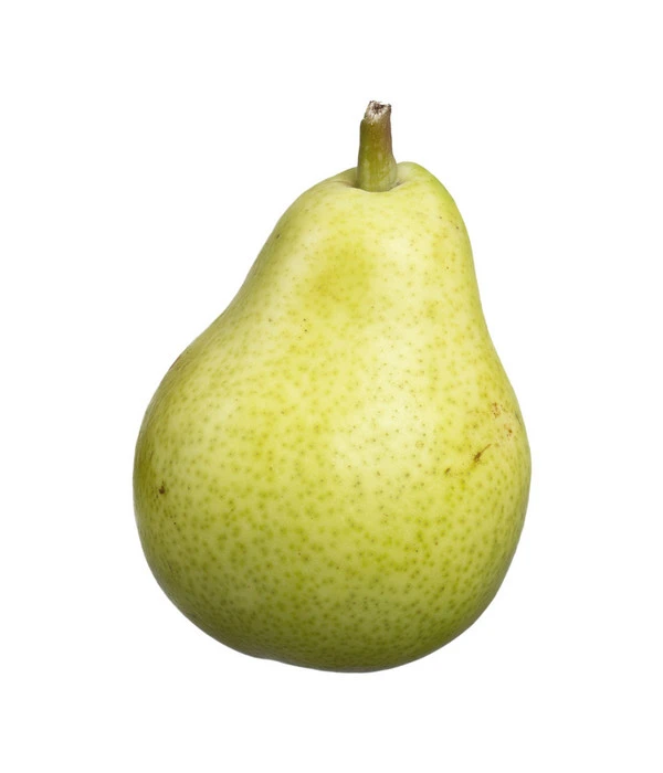 Säulenbirne 'Jeanne D'Arc' 4 Säulenbirne 'Jeanne D'Arc' – Bild 2