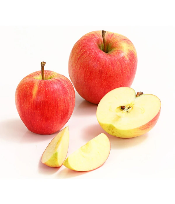 Winterapfel 'Pinova' 4 Winterapfel 'Pinova' – Bild 2