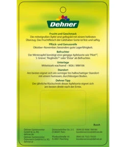 Winterapfel 'Pinova' 15 Winterapfel 'Pinova' -Garten Werk Zone 7729361 WinterapfelPinova Etikett 2