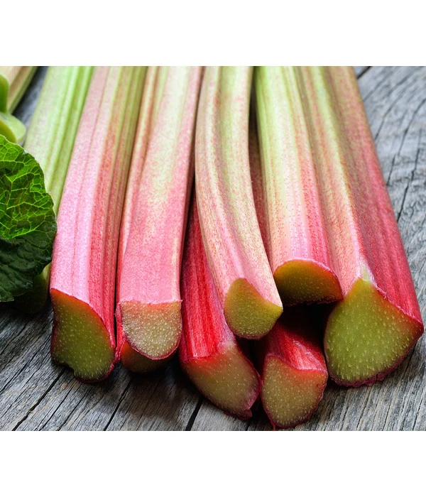 Dehner Gourmet Garten Himbeer-Rhabarber 3 Dehner Gourmet Garten Himbeer-Rhabarber
