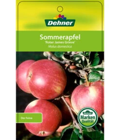 Sommerapfel 'Roter James Grieve' 10 Sommerapfel 'Roter James Grieve' -Garten Werk Zone 7745730 SommerapfelRoterJamesGrieve Etikett 1