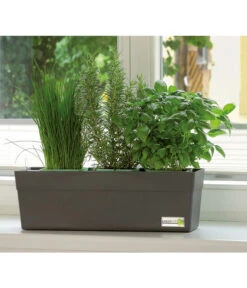 GREENBAR® Ersatzvlies, 3er-Pack 18 GREENBAR® Ersatzvlies, 3er-Pack -Garten Werk Zone 7750482 PR MO 001 GreenbarAnleitungIndoorSeidl