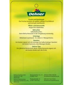 Zwetschge 'Kulinaria-Toptaste' 9 Zwetschge 'Kulinaria-Toptaste' -Garten Werk Zone 7763881 ZwetscheKulinariaToptaste Etikett 2