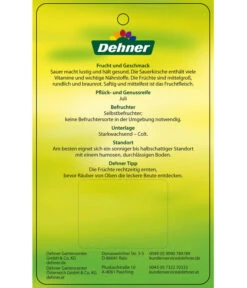 Sauerkirsche 'Vowi' 9 Sauerkirsche 'Vowi' -Garten Werk Zone 7773757 SauerkirscheVowi Etikett 2