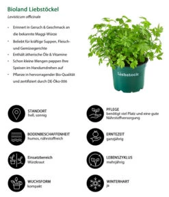 Ausgewählte Produkte -Garten Werk Zone 8002008 WE IG 001 BiolandLiebstoeckel