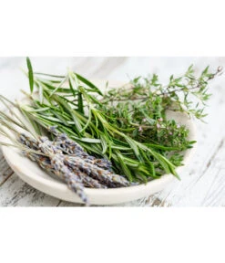 Dehner Gourmet Garten Hänge-Rosmarin 7 Dehner Gourmet Garten Hänge-Rosmarin -Garten Werk Zone 8035750 WE MO 001 RosmarinCapriPixabay