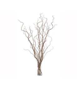 Korkenzieherweide-Bund 10 Korkenzieherweide-Bund -Garten Werk Zone 8149114 WE FS 002 KorkenzieherweideBraunBundDehnerExpressHerzig