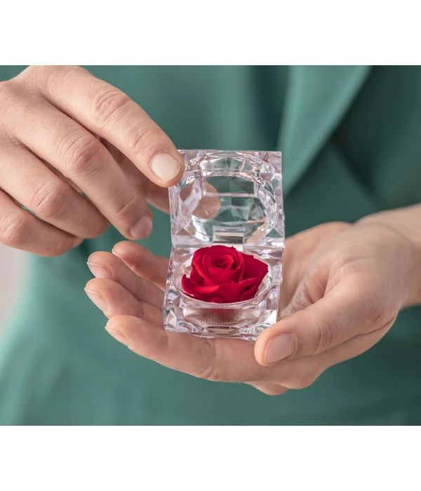 Longlife-Rose In Juwelenbox, Ca. Ø3,5 Cm 4 Longlife-Rose In Juwelenbox, Ca. Ø3,5 Cm – Bild 2