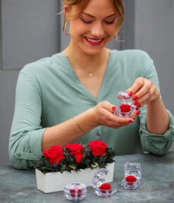 Longlife-Rose In Juwelenbox, Ca. Ø3,5 Cm 12 Longlife-Rose In Juwelenbox, Ca. Ø3,5 Cm -Garten Werk Zone 8167041 WE MO 001 LonglifeArrangementElenRot