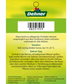 Schmetterlingsorchidee - Phalaenopsis Cultivars, Verschiedene Sorten 35 Schmetterlingsorchidee - Phalaenopsis Cultivars, Verschiedene Sorten -Garten Werk Zone 8251555 3Trieber 07032016 2