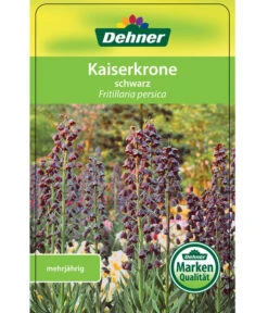 Persische Kaiserkrone 10 Persische Kaiserkrone -Garten Werk Zone 8664708 KaiserkroneSchwarz Etikett 1