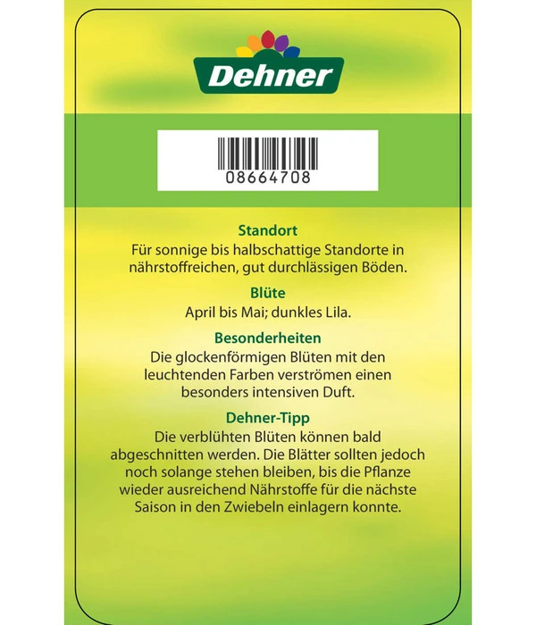 Persische Kaiserkrone 6 Persische Kaiserkrone – Bild 4