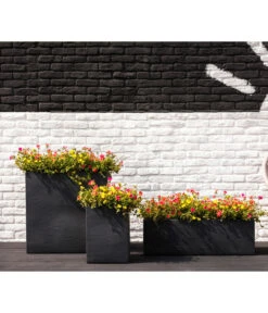 Portulakröschen 16 Portulakröschen -Garten Werk Zone 8817199 8827271 WE MO 001 PortulacaT11Portulakroeschen