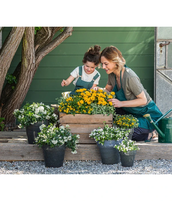 Zauberschnee 'Diamond Frost' Im Pottburri®-Topf 4 Zauberschnee 'Diamond Frost' Im Pottburri®-Topf – Bild 2