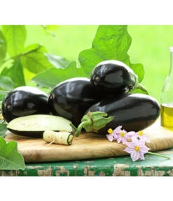 Ausgewählte Produkte 3 Dehner Gourmet Garten Aubergine, Veredelt