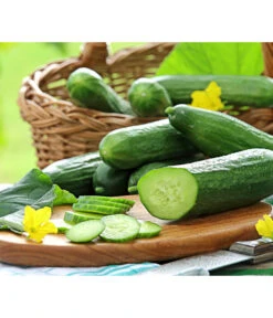 Ausgewählte Produkte 1 Mini Schlangengurke