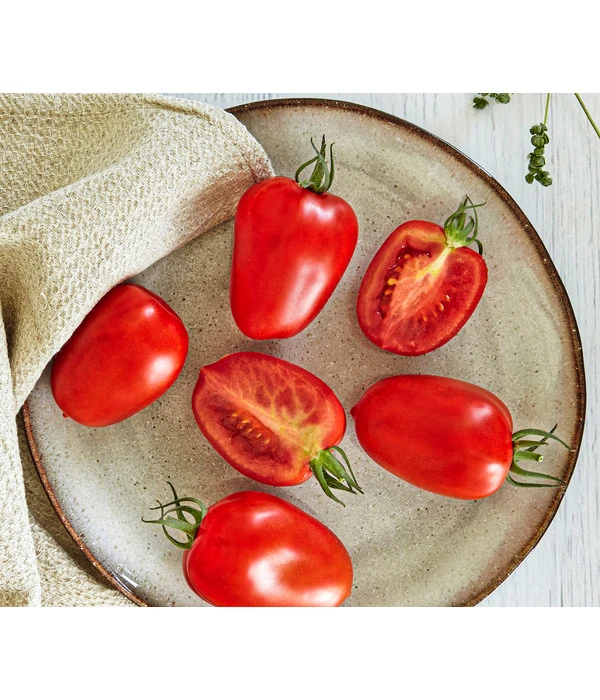 Bioland Eiertomate 3 Bioland Eiertomate