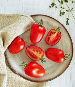 Bioland Eiertomate 7 Bioland Eiertomate -Garten Werk Zone 8831463 WE MO 001 BiolandEiertomate