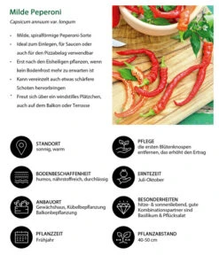 Milde Peperoni 11 Milde Peperoni -Garten Werk Zone 8831695 WE IG 001 MildePeperoni