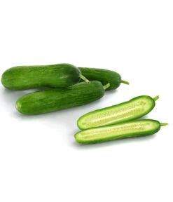 Snackgurke 9 Snackgurke -Garten Werk Zone 8833063 8830960 WE DE 001 GourmetGartenSnackgurkeVeredelt