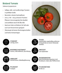 Bioland Tomate, Rundfruchtig 9 Bioland Tomate, Rundfruchtig -Garten Werk Zone 8842619 WE IG 001 BiolandTomate