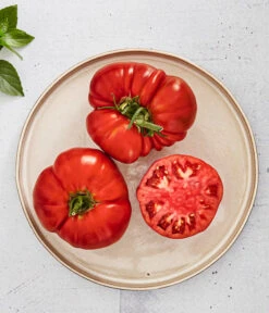 Bioland Fleischtomate -Garten Werk Zone 8842627 WE MO 001 BiolandFleischtomate