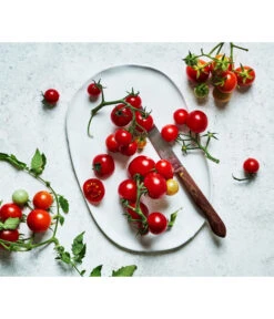 Bioland Cherrytomate 11 Bioland Cherrytomate -Garten Werk Zone 8842635 WE MO 002 Bio Cherrytomate