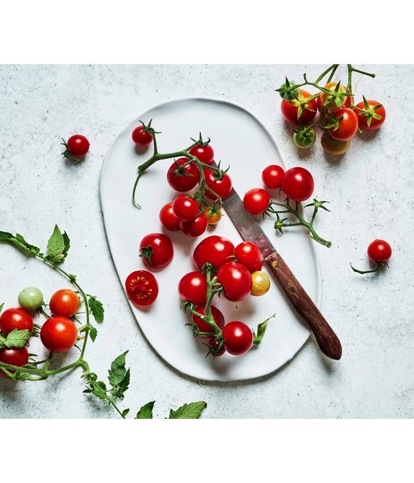 Bioland Cherrytomate 6 Bioland Cherrytomate – Bild 4