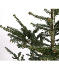 Nordmann-Tanne, Ca. 200-250 Cm, Gesägt 7 Nordmann-Tanne, Ca. 200-250 Cm, Gesägt -Garten Werk Zone 8995748 WE DE 001 AbiesNordmannianaNordmanntanne200 250GesaegtDehnerExpressHerzig