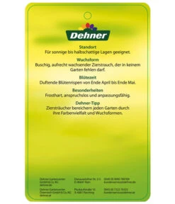 Edelflieder 'Sensation' 11 Edelflieder 'Sensation' -Garten Werk Zone EdelFliederSensation Etikett 2