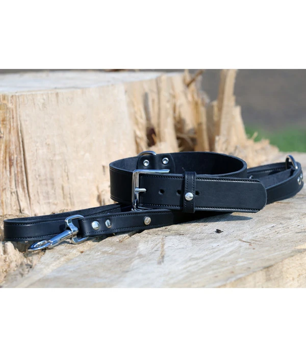 Das Lederband Hundeleine Basic Weinheim Schwarz 4 Das Lederband Hundeleine Basic Weinheim Schwarz – Bild 2