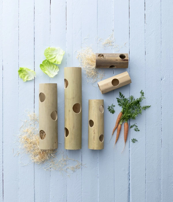 Dehner Lieblinge Bambusröhre 4 Dehner Lieblinge Bambusröhre – Bild 2