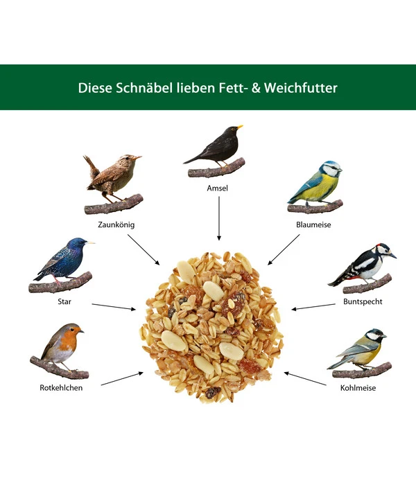 Dehner Natura Fett- Und Weichfutter 5 Dehner Natura Fett- Und Weichfutter – Bild 3
